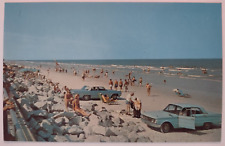Vintage Jacksonville Beach Florida Chrome Postcard Old Man Pants Antique Cars picture