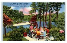 Postcard Group of Happy Picnickers, Cumberland Mt State Park TN linen unused W28 picture