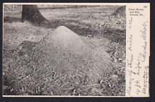 Pennsylvania-PA-Altoona-Ant Hill-Giant Mound-Posted 1906-Antique Postcard picture