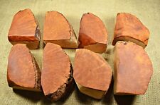8 Plateau Greek Briar Blocks 30 Years Old Top Quality Jumbo Pack 3A-12 picture