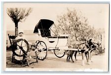c1910 Dogs Carriage Kid Girl Spinning Wheel RPPC Unposted Photo Postcard picture