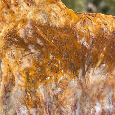 2 Slabs*- Succor Creek Straw Agate Sagenite/Pseudomorph (S42) picture
