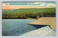Harrisburg PA-Pennsylvania, Clark Valley Dam, Antique Vintage Souvenir Postcard picture