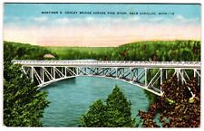 Mortimer E. Cooley Bridge Across Pine River Cadillac MI Michigan 1950s Postcard picture