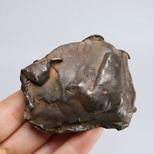 310g Gebel Kamil iron meteorite, Egypt, Space Gift, meteorite, specimen R1561 picture