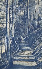 Youngstown Ohio East Walk Mill Creek Park thru Woods 1903 UDB Postcard picture