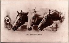 Horses The Leisure Hour Heads M T Sheahan Publisher c1910 postcard GQ3 picture
