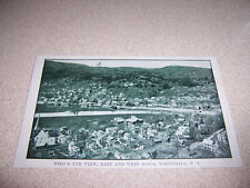 1908 TOWN-VIEW, WHITEHALL NY. ANTIQUE POSTCARD picture