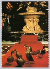 Memphis Tennessee, Peabody Ducks, Lobby Fountain, Vintage Postcard picture