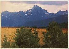 Majestic Colorado Postcard picture