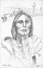 Sioux Indian Chief Gall Lakota Leader Sketch by Sandy Jensen Postcard picture