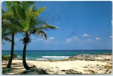 Postcard - Beautiful palm tree fringed beaches are found throughout the Bahamas picture
