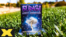 Limited Edition Fungi Mystic Mushrooms Mycological Playing Cards picture