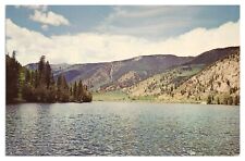 Vintage Cottonwood Lake Camping Area Postcard c1969 Buena Vista Colorado picture