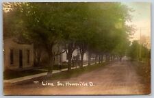 Huntsville Ohio~Man Walks Lima St~Boy, Men in Suits on Sidewalk~Tinted RPPC 1910 picture