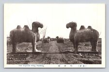Antique Postcard RPPC Real Photo IMPERIAL MING NANKING CAMEL STATUES 1910 picture