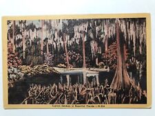 1940 Cypress Gardens In Beatiful Florida Postcard picture