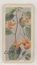 1961 Brooke Bond Red Rose Wild Flowers of North America Tea #31 1md picture