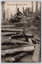 Everett Washington~Log Dump~Logging Lumber Industry~Big Trees~c1910 Postcard picture