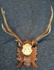 ANTIQUE BLACK FOREST DEER HEAD-CARVED WOODEN BOARD-1895-Royalty-DUKE PHILIPP picture
