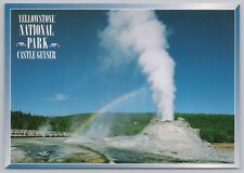 National & State Park~Castle Geyser Yellowstone Park~Continental Postcard picture