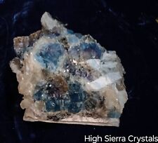  🔥BLUE FLORITE CALCITE DOGTOOTH SUPER RARE MUSEUM QUALITY JUMBO HUGE picture