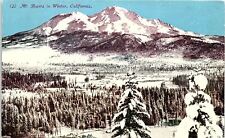 c1910 MT SHASTA CALIFORNIA IN WINTER SNOW COVERED TREES MOUNTAIN POSTCARD 42-25 picture