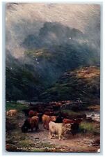 c1910 Animal Across Highland River Scottish Highlands Oilette Tuck Art Postcard picture