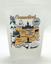Connecticut US States Series Collection Shot Glass picture