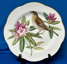 Spode Bone China Plate - Garden Birds By Spode - No. 5 The Mistle Thrush picture