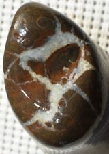 ❤️1 Exquisite Michigan Septarian Lightning Stone Perfect for Lapidary Crafts DIY picture
