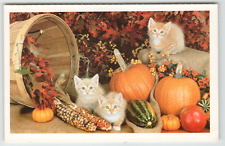 Postcard Three Cute Kittens Posing with Pumpkins picture