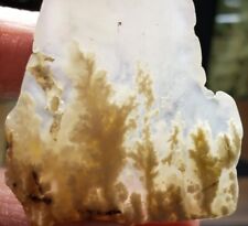 Stinking Water Plume Agate - SLAB - Beautiful Old Stock from Oregon. (16 grams) picture