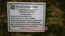 PHOTO  TENNYSON'S POEM AT WAGGONERS WELLS SEE LINK 2009 picture