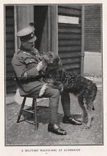 DOG Airedale Terrier War Dog British Military Police Aldershot Antique Print picture