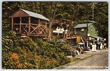 Childs Arbor Delaware Water Gap Pennsylvania Vintage Linen Postcard AF361 picture