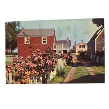 Postcard Rose Covered Fence Provincetown Lane Cape Cod Massachusetts Chrome picture