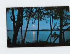 Postcard Moonlight Scene Beautiful Lake Erie Shores Ohio USA picture