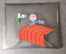 Charlie Brown & Snoopy Cel 1967 TV You're In Love Charlie Brown picture