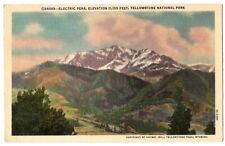 Yellowstone National Park, Wyoming c1930's Electric Peak picture