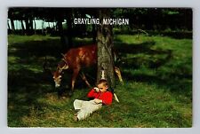 Grayling MI-Michigan, Boy And Deer, Antique, Vintage c1964 Souvenir Postcard picture
