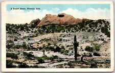 1920 Phoenix AZ-Arizona, A Desert Scene, Cacti Stand Across Landscape, Postcard picture