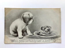  Vintage Postcard, V Colby, Dog, Bird, Well you certainly are a bird 1909 picture