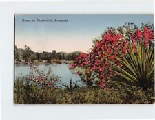 Postcard Scene at Fairylands, Bermuda, British Overseas Territory picture