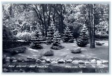 c1950's Blue Spruce Dow Gardens Midland Michigan MI RPPC Unposted Photo Postcard picture