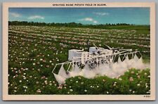 Maine Spraying Potato Field in Bloom c1940s Linen Postcard picture