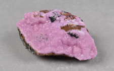 Cobaltoan Calcite / Cobaltoan Dolomite from Congo  6.8 cm  # 19997 picture
