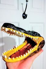 Alligator Head Display Small Fake Hard Material For Show And Tell picture