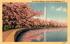Harriet, Mrs. Helen Fuller, Potomac Park, Washington, Cherry Blossoms, Postcard picture