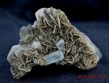 AQUAMARINE BERYL var. GOSHENITE crystals in MUSCOVITE_644g magnificent specimen picture